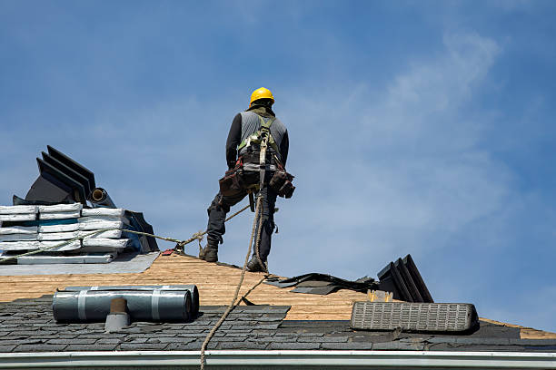 Professional Roof Replacement technician working in Hawthorne, FL
